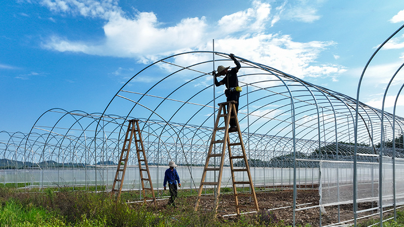 湖南常宁：智慧育苗大棚建设施工忙