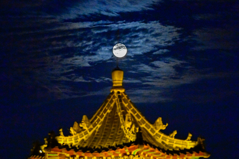 天涯明月共此时