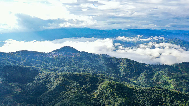 天空之眼瞰祖国——飞阅景迈山古茶林文化景观