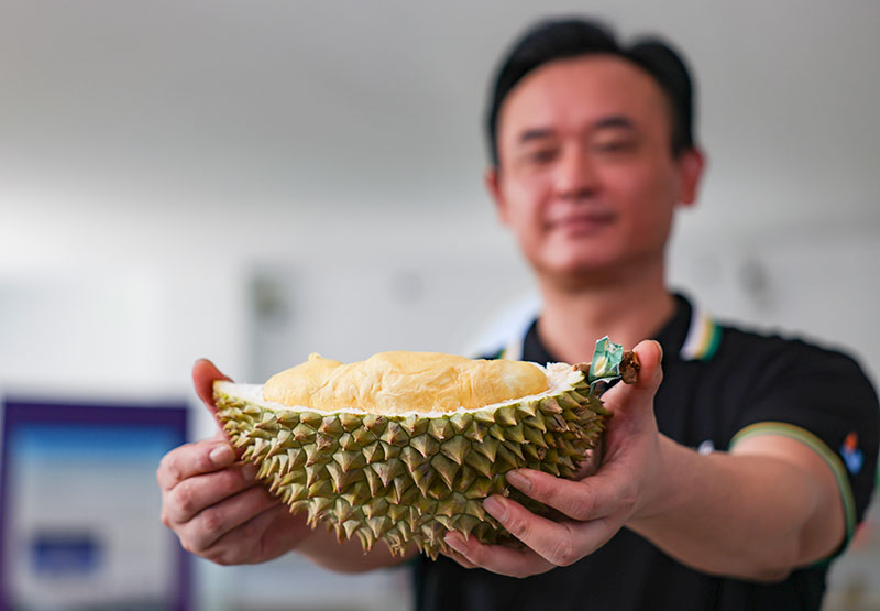东盟榴莲的跨境之旅
