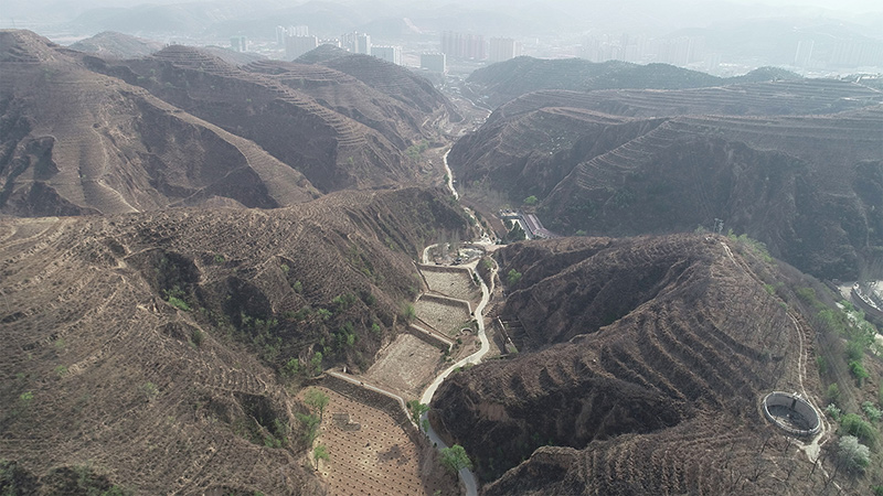 新时代中国调研行 | 大河上下满目新——推动黄河流域生态保护和高质量发展综述
