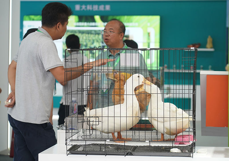 第三十届中国北京种业大会开幕