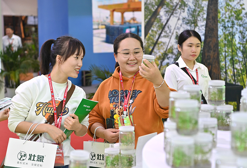 2023年中国-东盟博览会林产品及木制品展开展