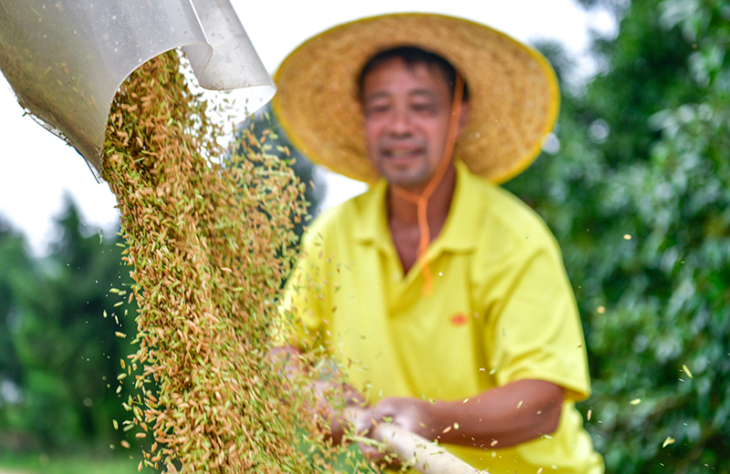 我国粮食产量连续9年稳定在1.3万亿斤以上