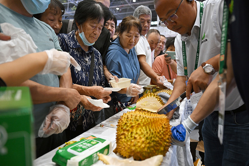 海南冬交会开幕