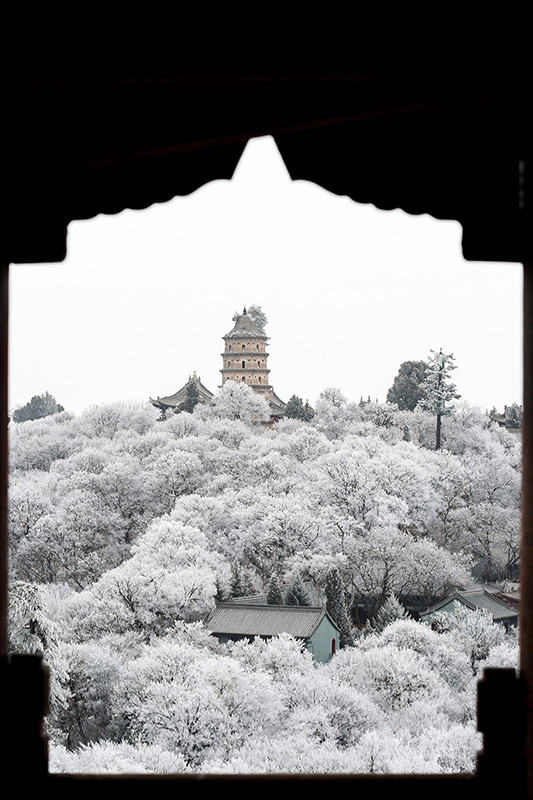 神州大地冬景如画