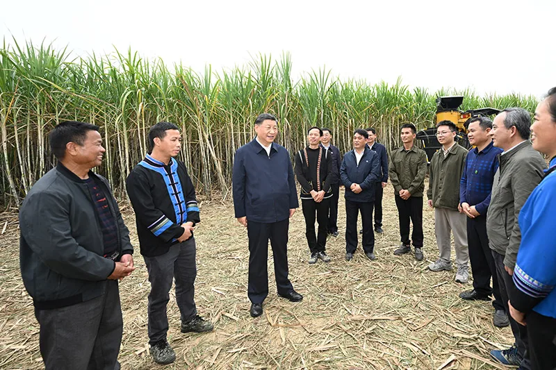 习近平在广西考察时强调:解放思想创新求变向海图强开放发展 奋力谱写中国式现代化广西篇章