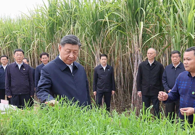 习近平在广西考察时强调:解放思想创新求变向海图强开放发展 奋力谱写中国式现代化广西篇章