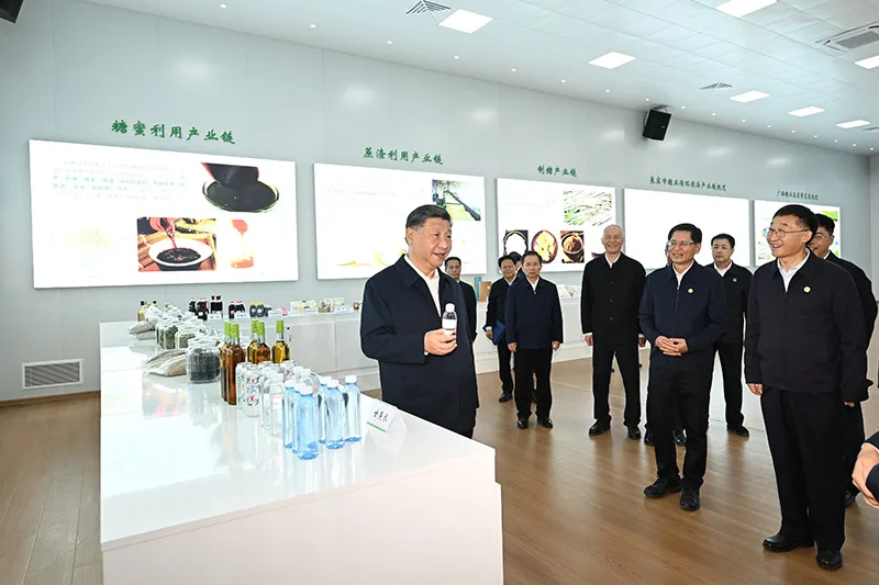 习近平在广西考察时强调:解放思想创新求变向海图强开放发展 奋力谱写中国式现代化广西篇章