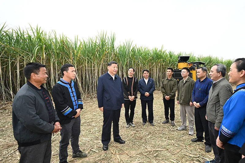 习近平在广西考察