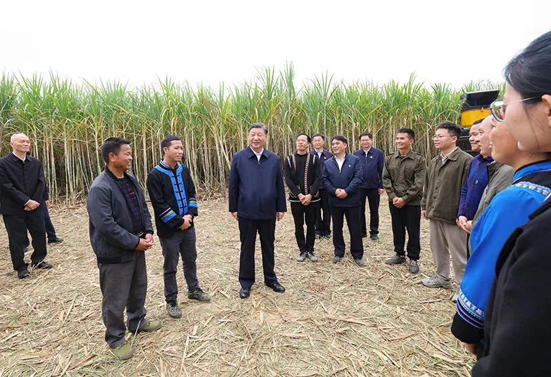习近平在广西考察