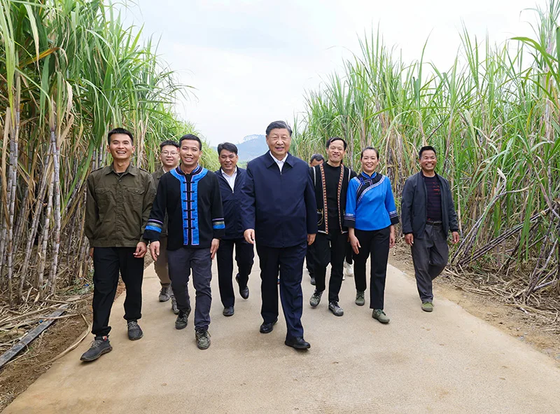 习近平在广西考察