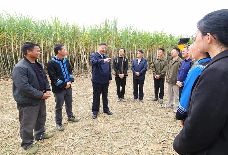 习近平在广西考察