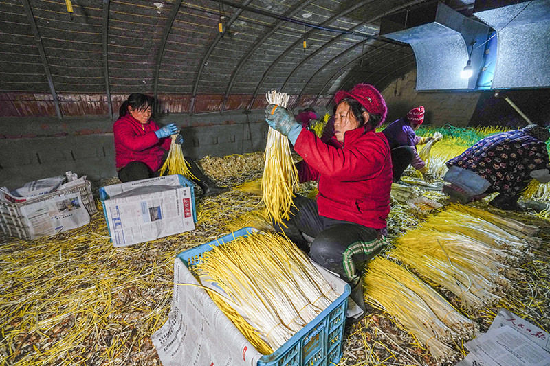 多措并举应对低温雨雪冰冻天气
