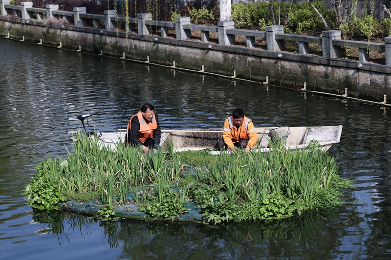 浙江湖州:提升河道水质 共建社区幸福河