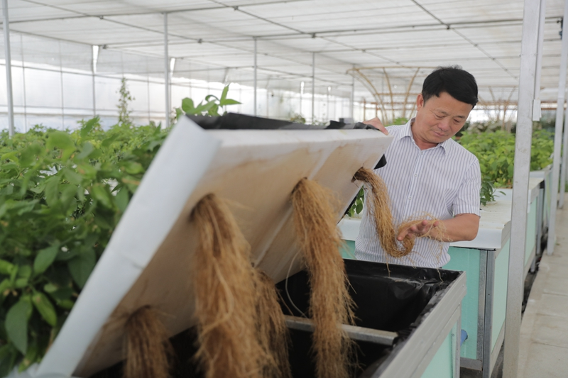 科技农业助力打造“天府第二粮仓”