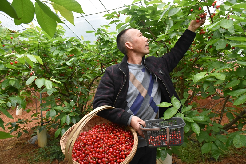 凝聚力量抓落实,开创进一步全面深化改革新局面——各地干部群众掀起学习贯彻党的二十届三中全会精神热潮