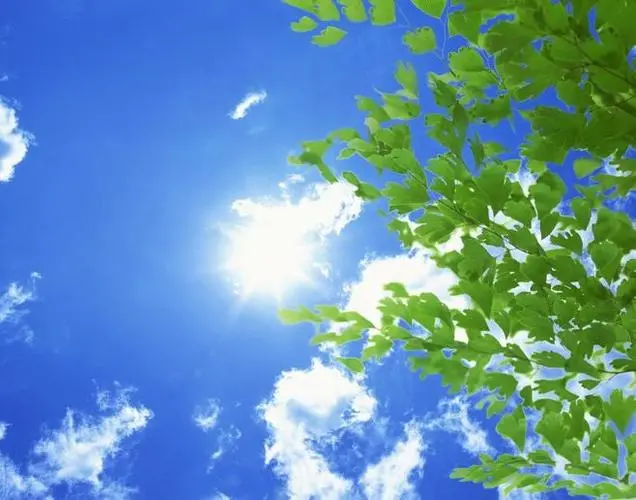 生活千种，人生百态，你怎样看待世界，世界就会怎样对待你。心有阳光的人，不但能给身边的人带去温暖，自己也会被这阳光滋养着。愿你带着一颗赤诚的心，朝着明亮的地方，用力生长。早安！