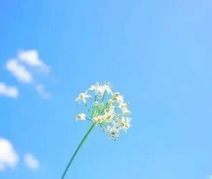 心态好的人，都有这4种处事方式