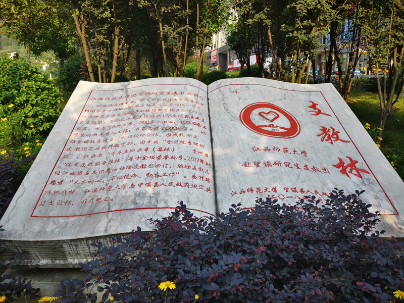 逐梦西部天地宽——大学生志愿服务西部计划扫描