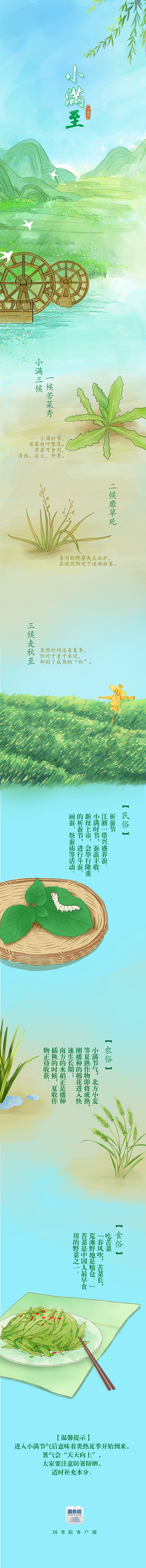 今日小满｜麦穗初齐，桑叶正肥