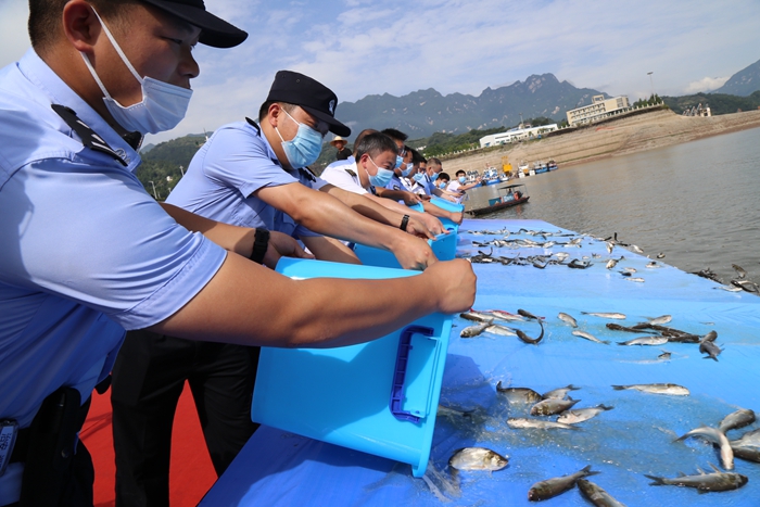 2022年水生生物增殖放流活动在全国范围同步举行