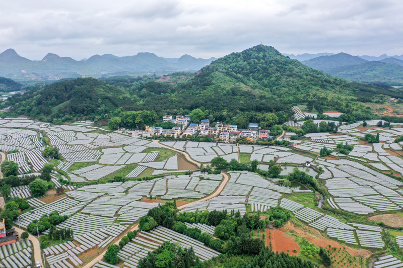 八桂大地唱响奋进歌——沿着总书记的足迹之广西篇