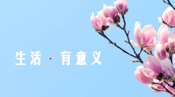 最好的生活状态：有期待、有事做、有耐心