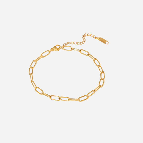 2022 New 18K Gold Color Simple for Women Paper Clip Link Chain Trendy Stainless Steel Anklets Wrist Anklets Fashion Jewelry Gift