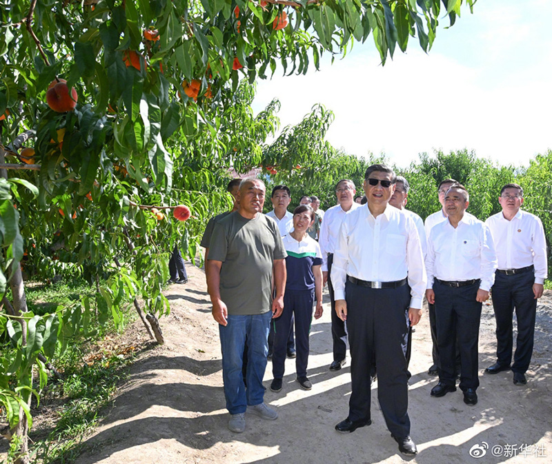 习近平：把兵团建设得更强大更繁荣