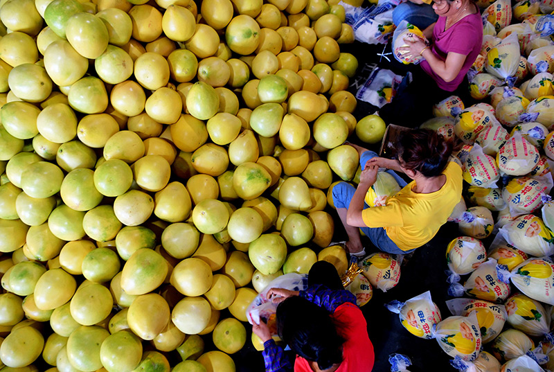 福建：抢抓机遇谋发展 奋力谱写新篇章