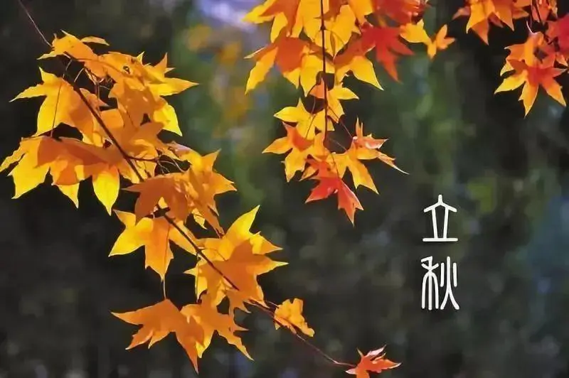立秋了，送给你秋天的第一份祝福