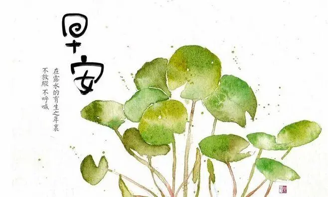 人生的淡定和从容，都是从学到的本领中修炼来的气定神闲。保持学习，是每一个成年人的必修课。无论是看几本书，打开新的知识面，还是学习一项新技能，获得一份新体验，都是在拓宽生命的边界、丰富自己的人生。早安！