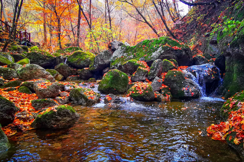 辽宁老工业基地十年生态嬗变观察：碧水蓝天入画来
