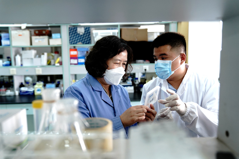 我国在问天实验舱开展拟南芥和水稻“从种子到种子”全生命周期实验