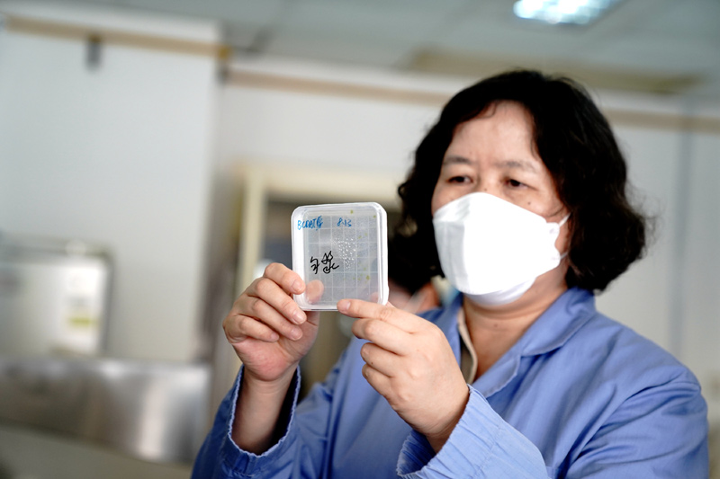 我国在问天实验舱开展拟南芥和水稻“从种子到种子”全生命周期实验
