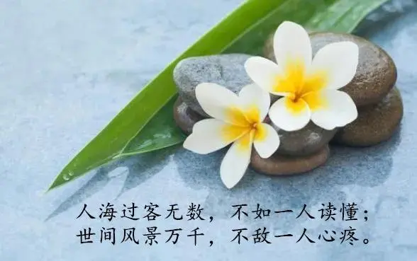 人生没有彩排，每一天都不会重来。唯一能让我们走得更远的方法，就是成为比昨天更好的自己。做个行动派吧，每一个微小的改变，或许就会给你的人生带来大不同。早安！