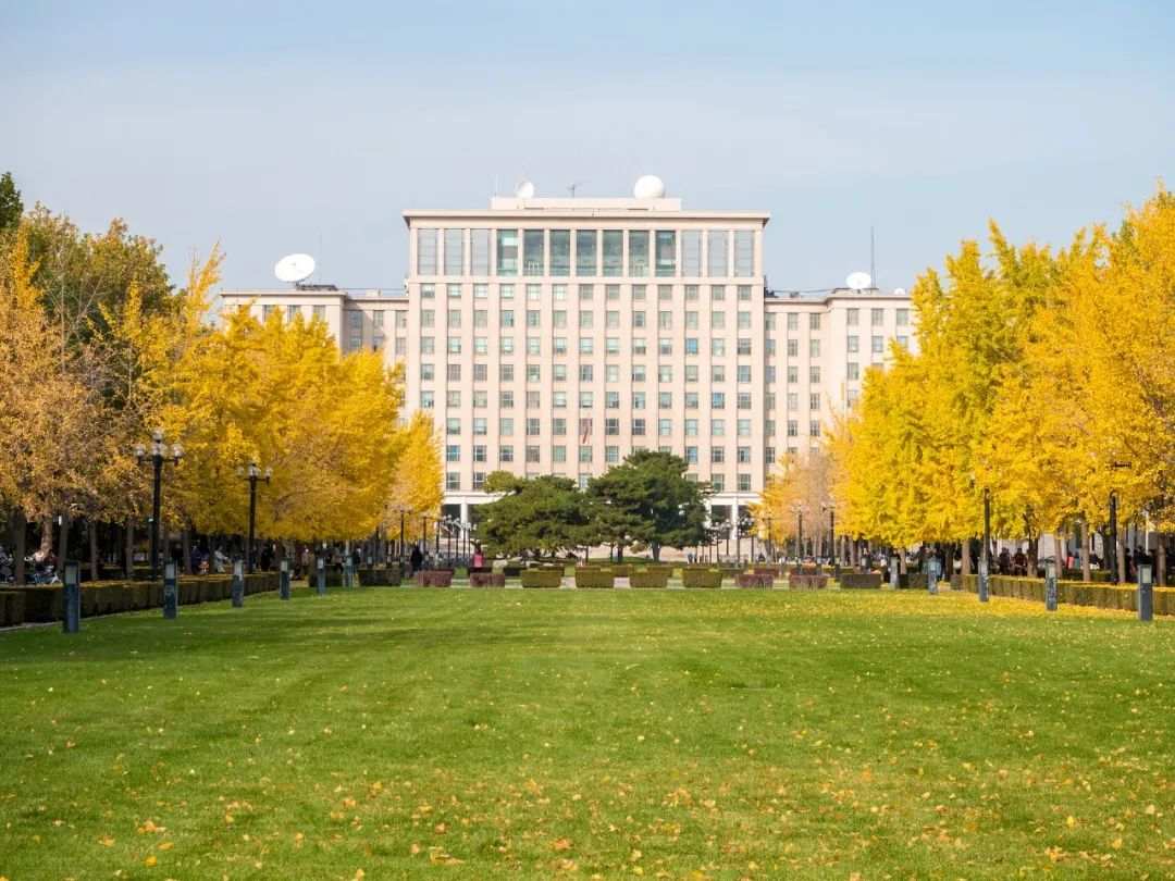 一篇超赞的清华开学演讲：在琳琅满目中做出选择
