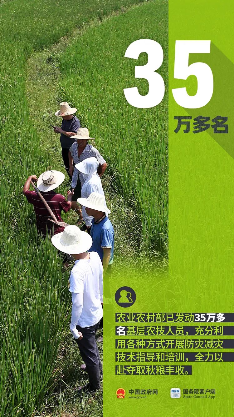 农民朋友们！过节了！