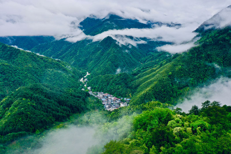 建设天蓝地绿水清的美丽家园——党的十八大以来推进生态文明建设述评