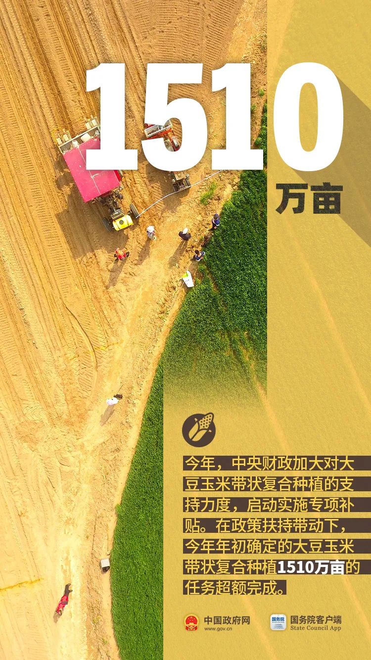 农民朋友们！过节了！