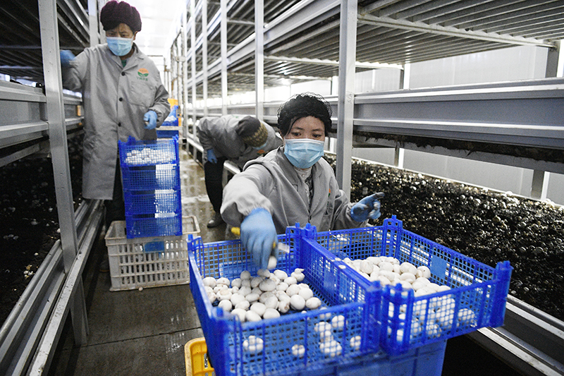彪炳史册的人间奇迹——党的十八大以来我国脱贫攻坚成就举世瞩目