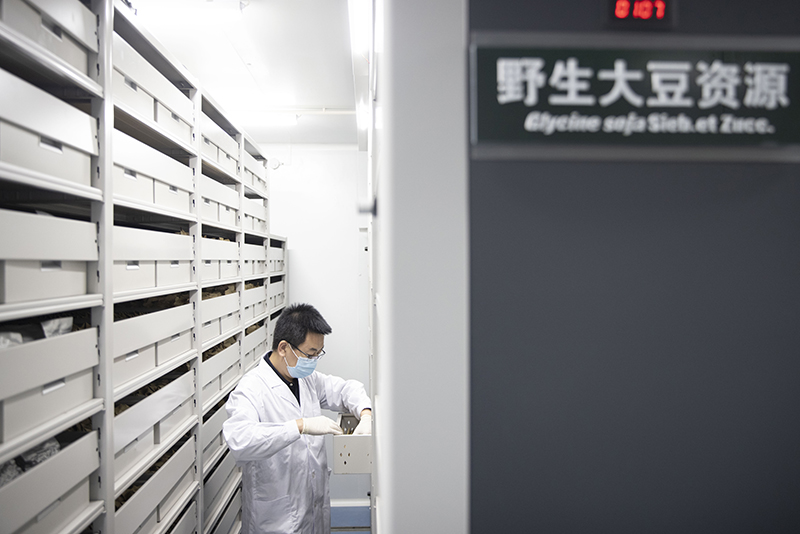 开创维护国家安全的崭新局面——新时代中国维护国家安全述评