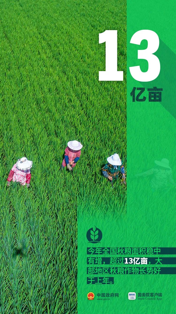 农民朋友们！过节了！