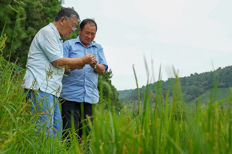 喜迎二十大 | 江苏：奋力迈上新台阶