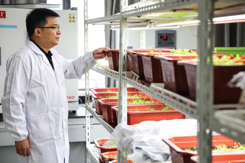 让青春在全面建设社会主义现代化国家的火热实践中绽放绚丽之花——党的二十大报告在全国高校青年师生中引起强烈反响