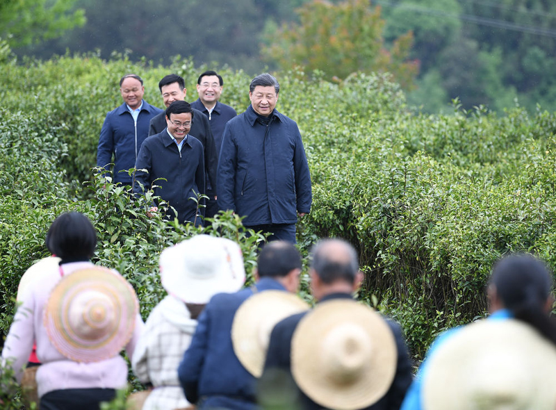 特稿:新征程领路人习近平