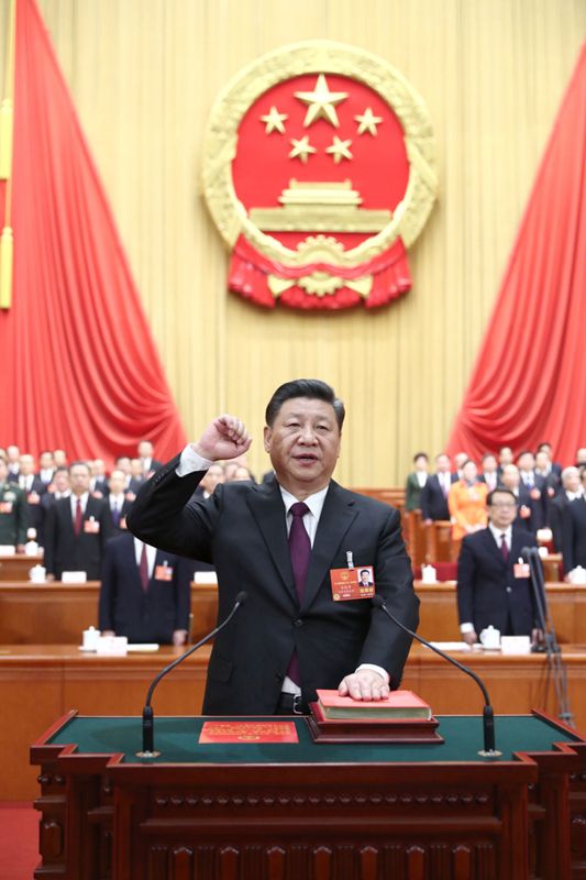 特稿:新征程领路人习近平