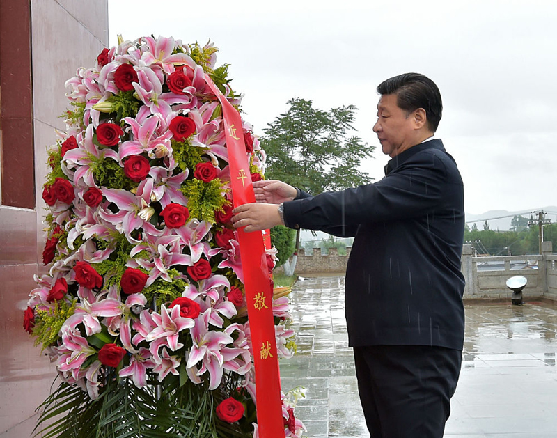 特稿:新征程领路人习近平