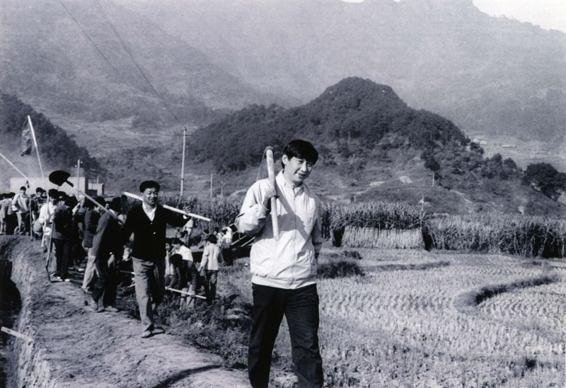 特稿:新征程领路人习近平